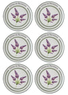 Provence Collection Dinner Plates, Set of 6