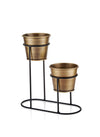 2in1 Gold Succulent Plant Pot