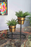 2in1 Gold Succulent Plant Pot